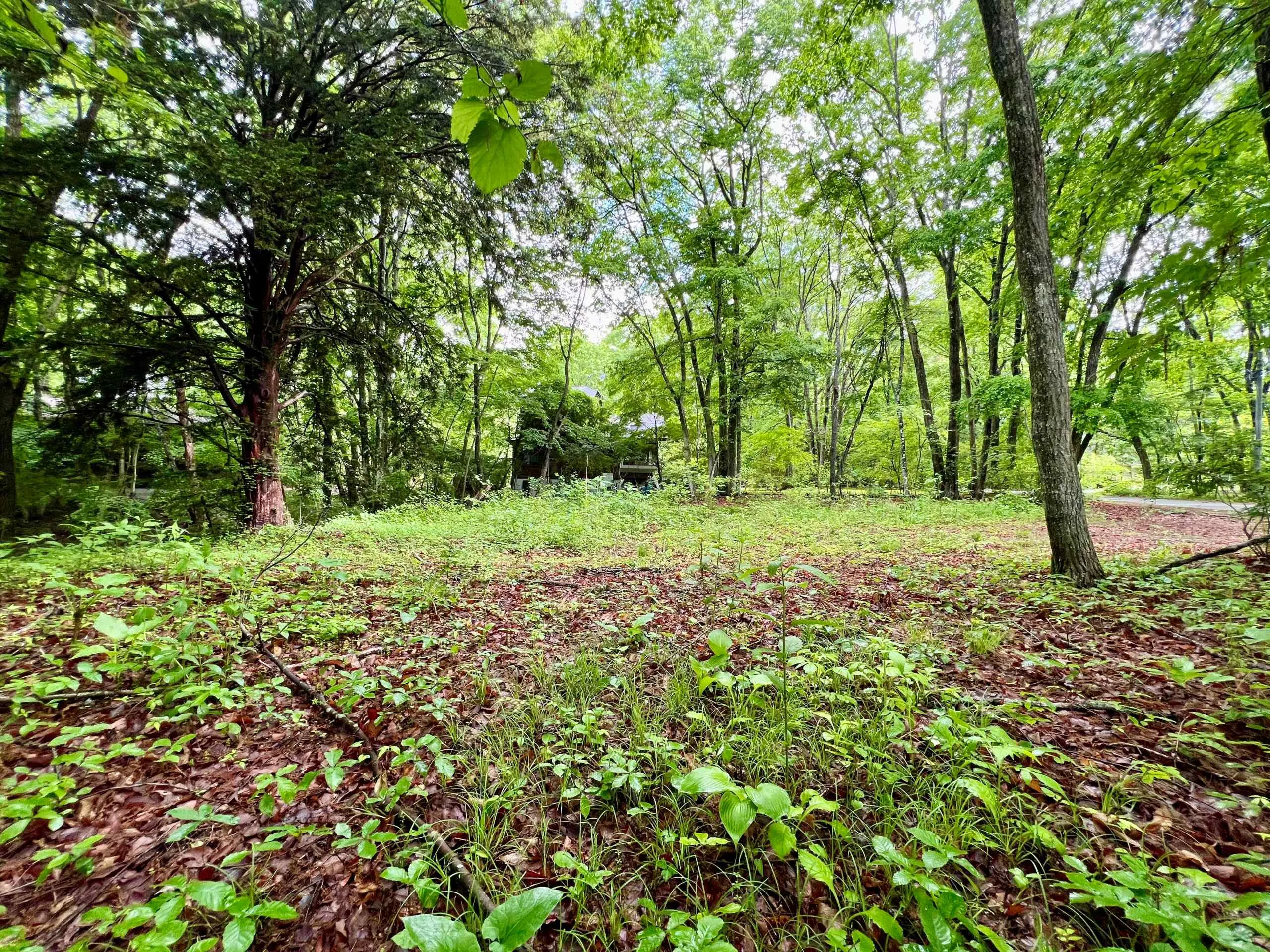 軽井沢・追分啓明別荘地の外観5