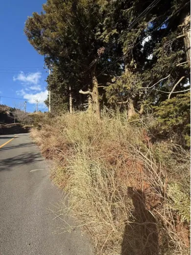 箱根町元箱根売地の周辺