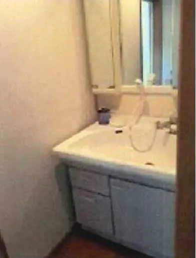 賀茂郡白田片瀬白田売戸建の洗面室