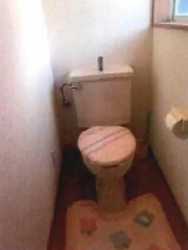 賀茂郡白田片瀬白田売戸建のトイレ