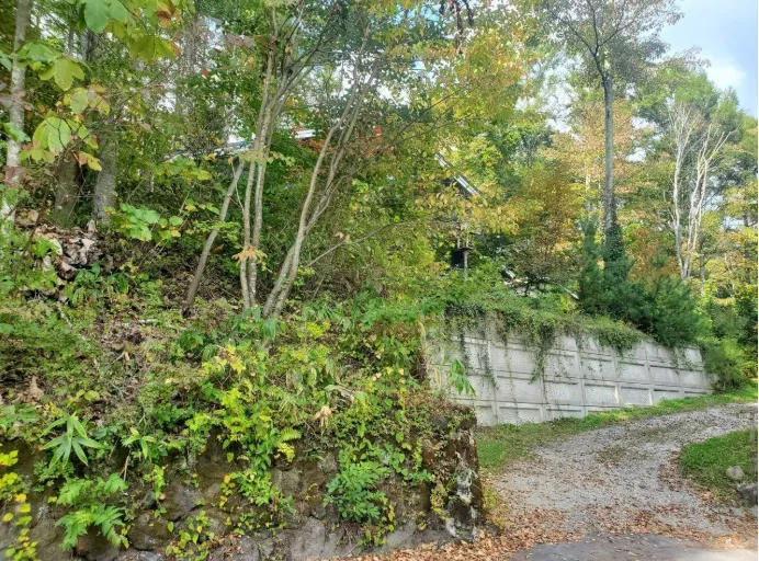 軽井沢町追分中古戸建の外観3