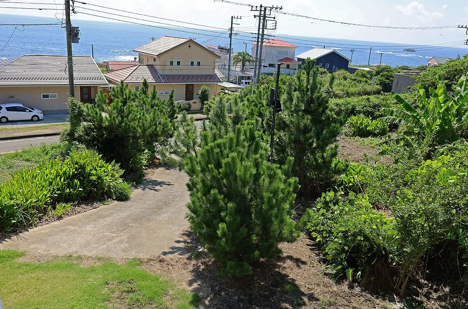 南房総市千倉町白間津売戸建の周辺