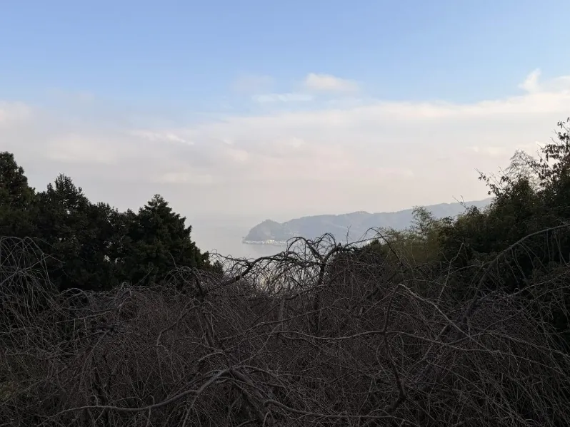 エンゼルフォレスト熱海自然郷別荘からの眺望