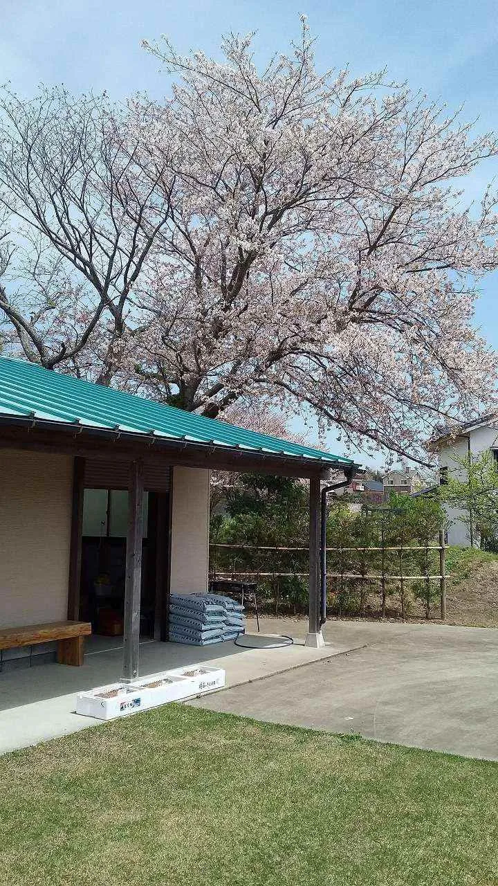 富津市望井売居宅・店舗の工房