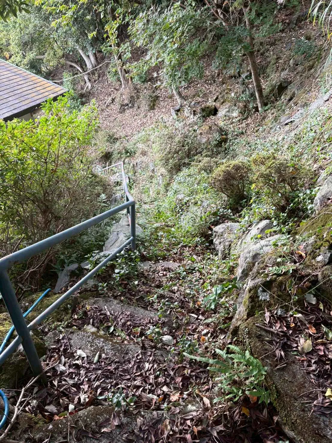 伊豆赤沢別荘地 海が見える別荘の周辺1