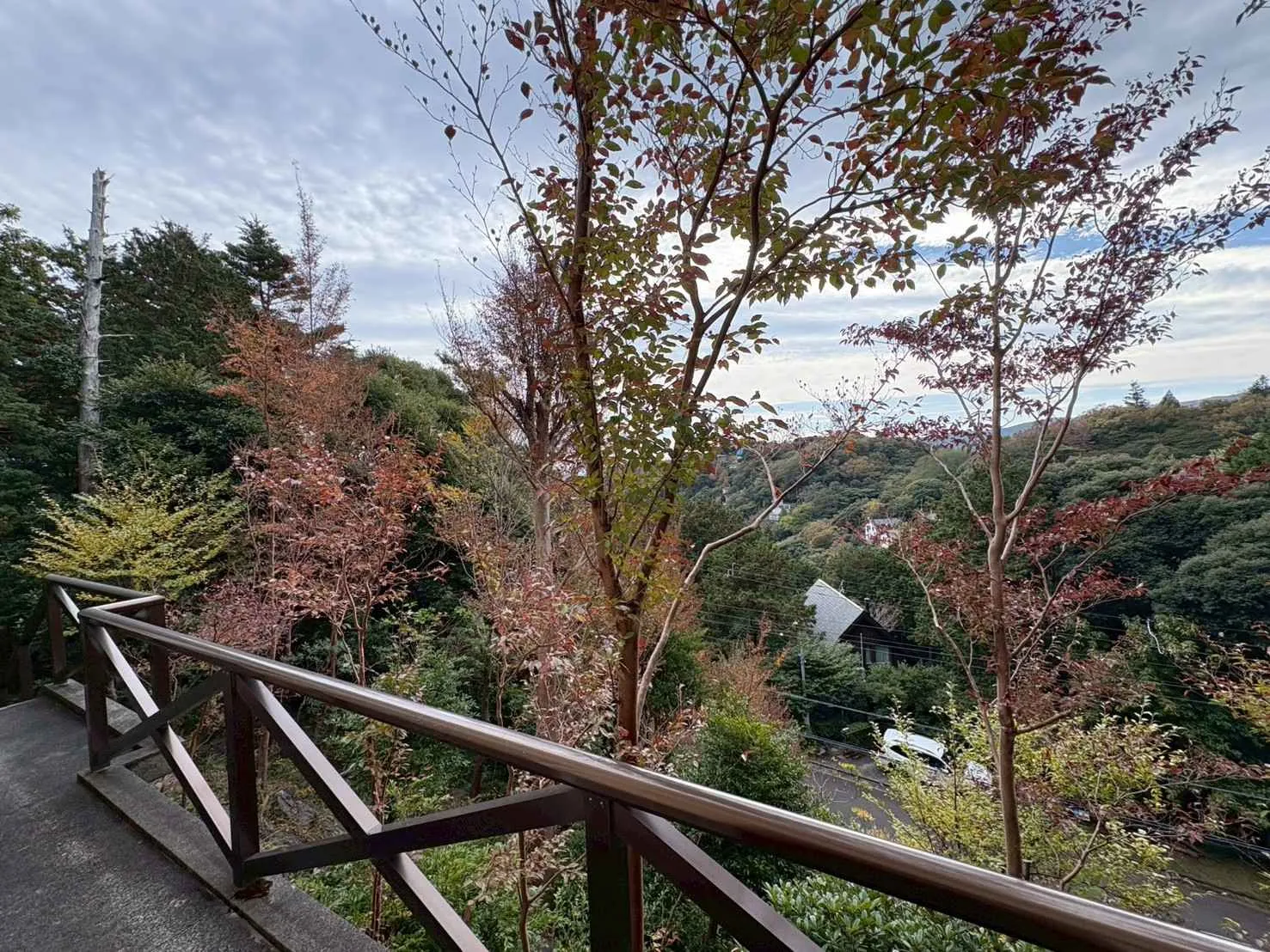 伊豆赤沢別荘地 海が見える別荘のバルコニーの写真2