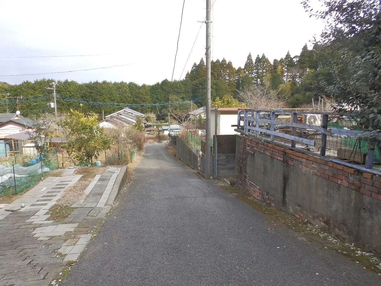 勝浦市上植野中古別荘の周辺