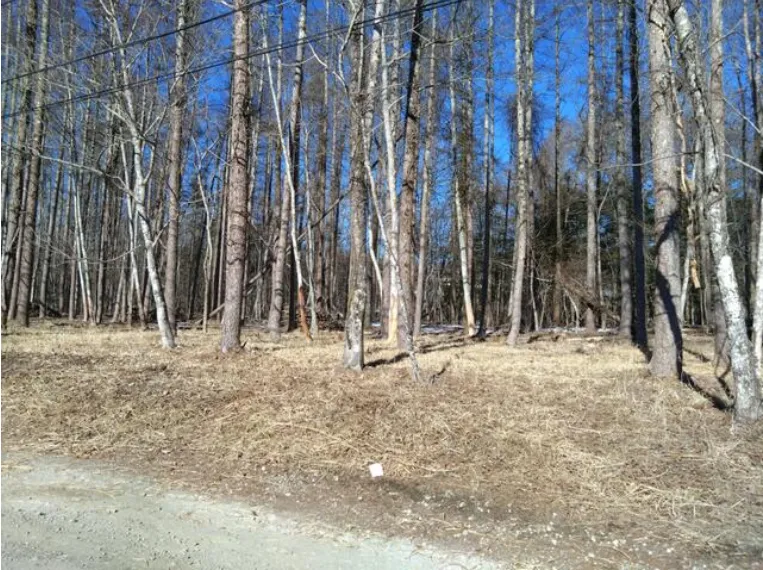 山中湖村山中売土地の外観3