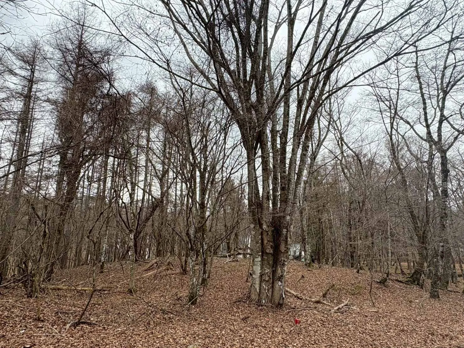 山中湖村平野売地の外観