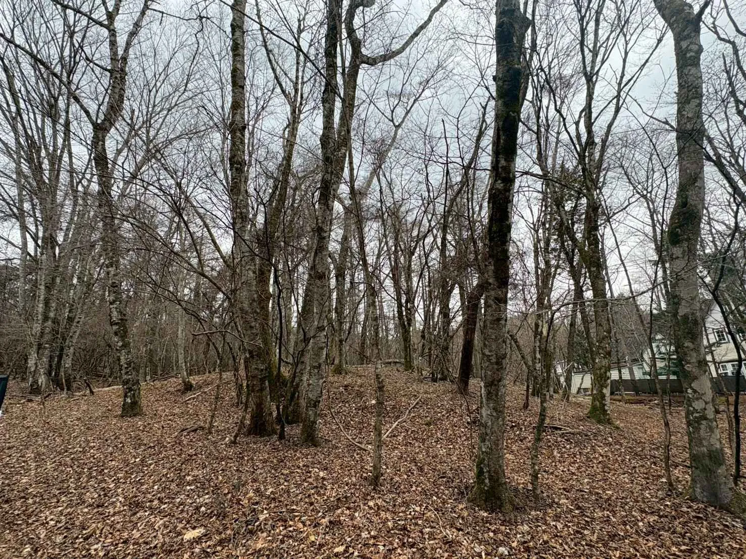 山中湖村平野売地の外観2