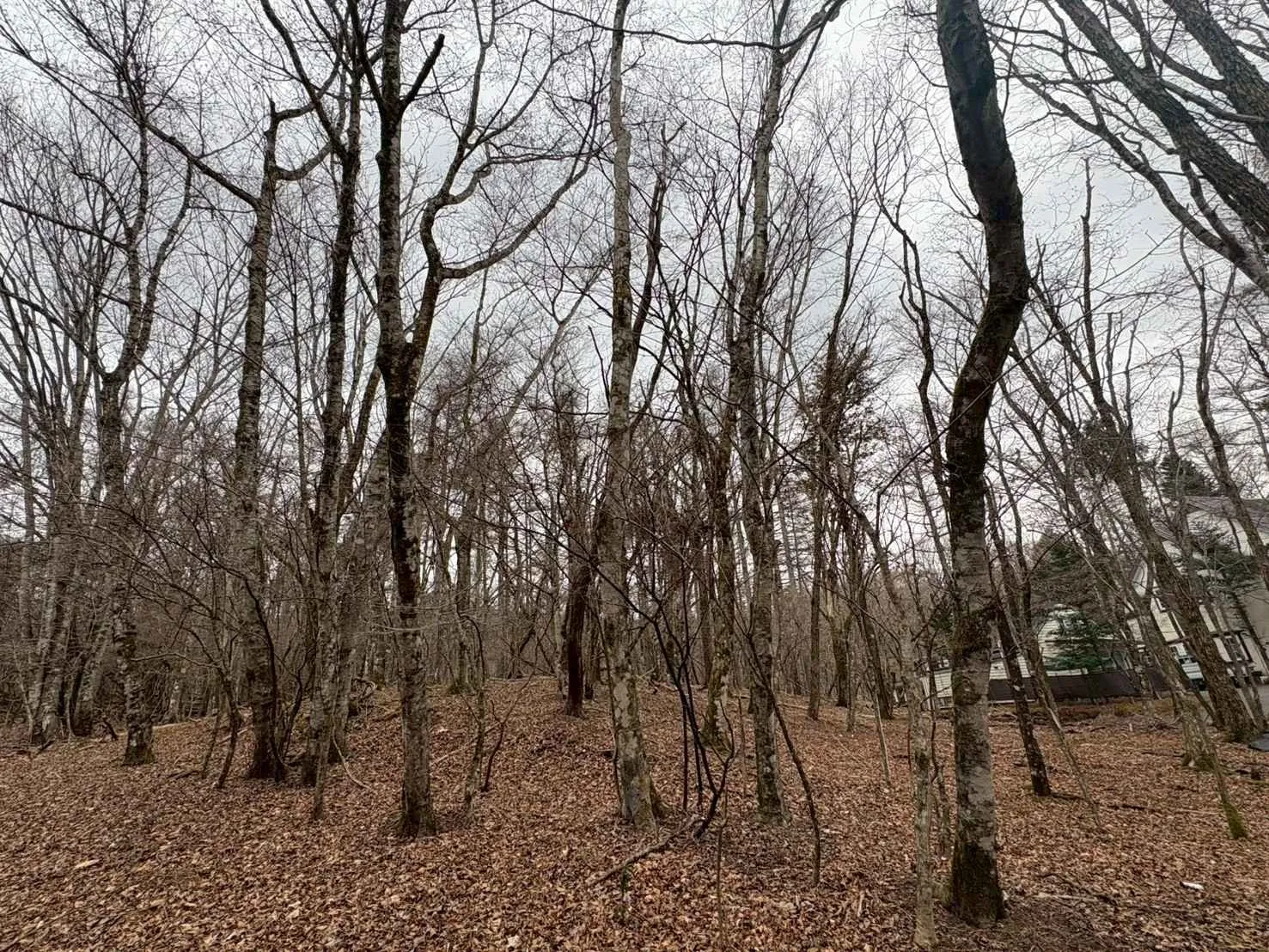 山中湖村平野売地の外観3