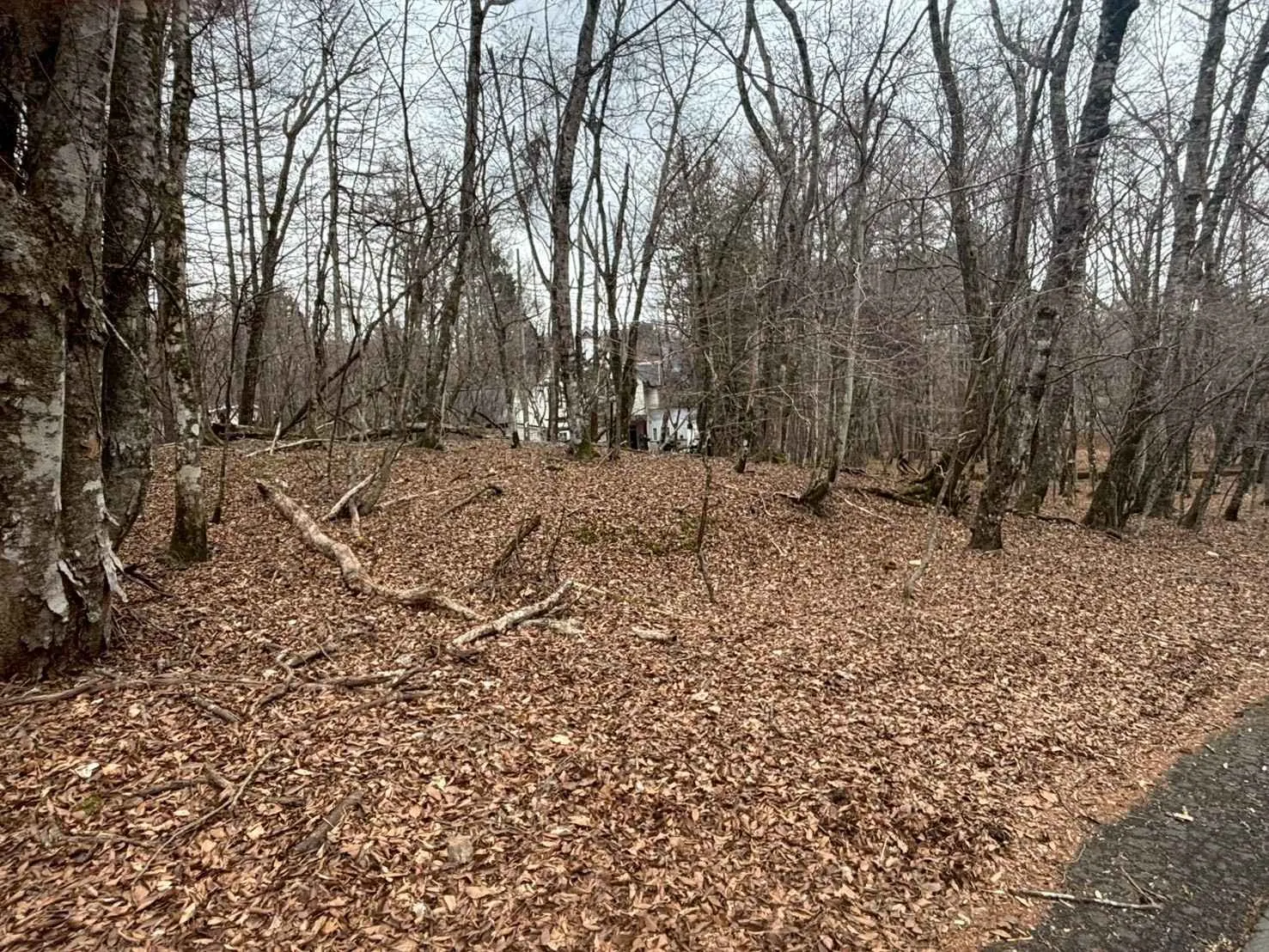 山中湖村平野売地の外観4