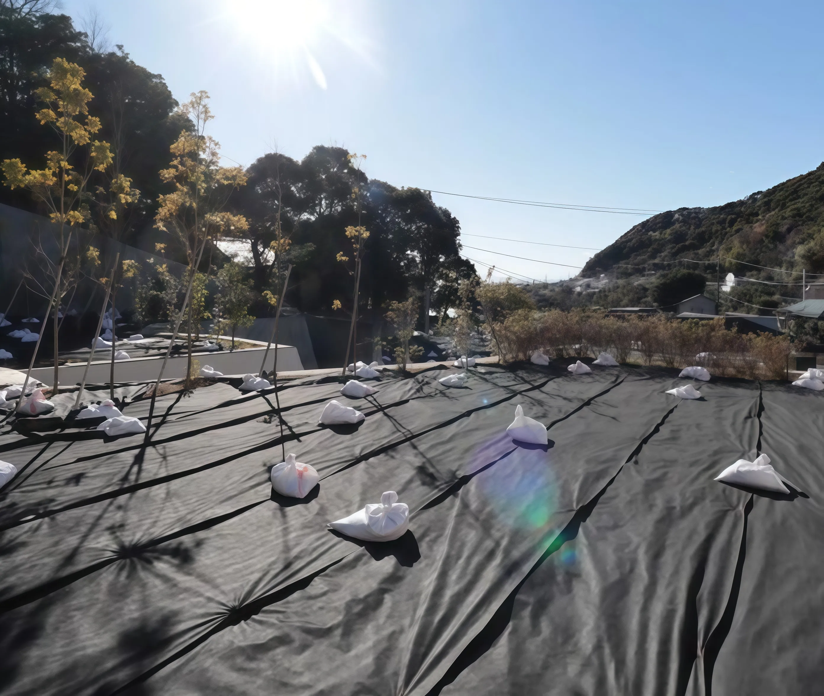 鎌倉市極楽寺売地の敷地