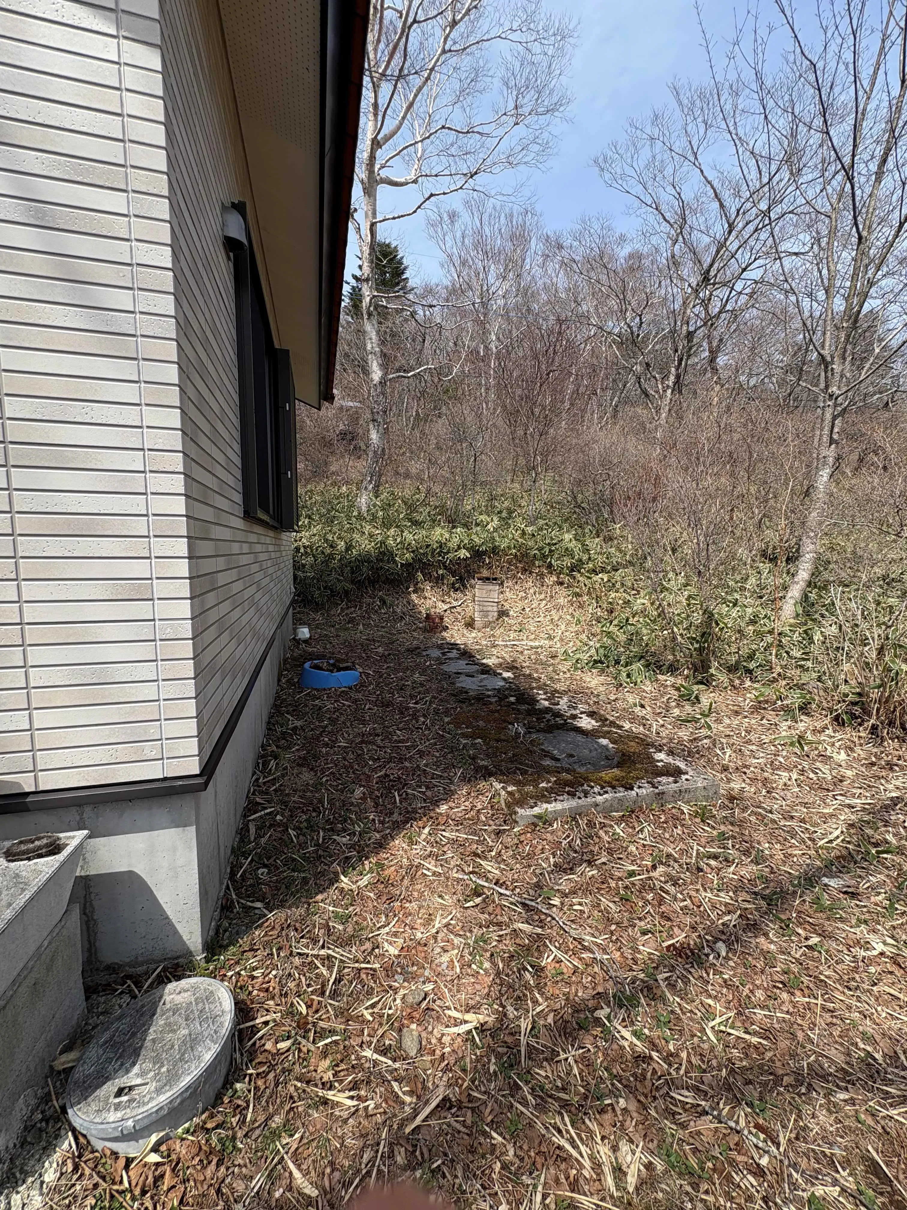 建物横の庭スペース