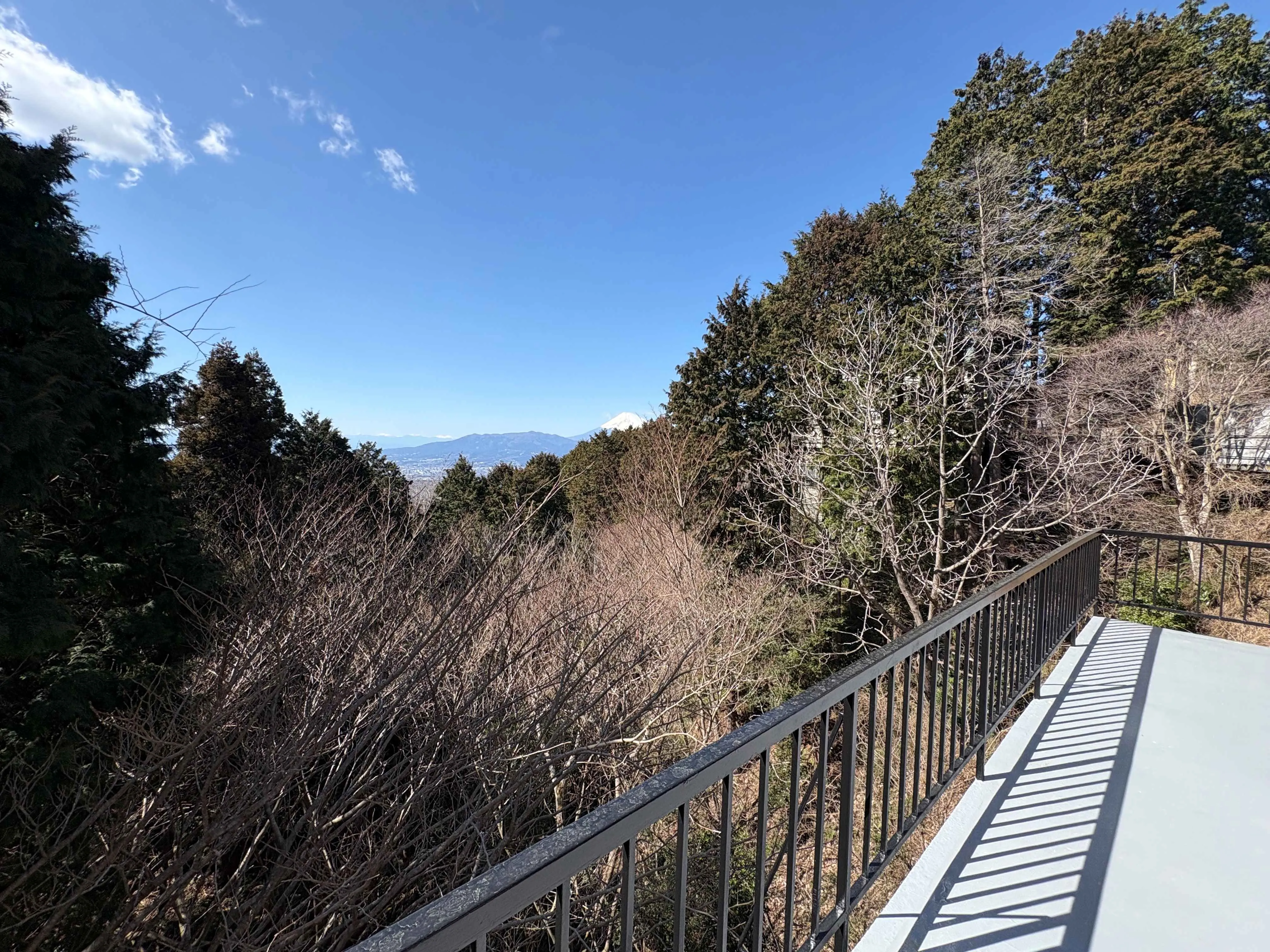 バルコニーからの眺望