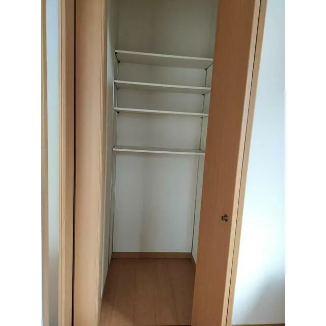 日光市薄井沢中古戸建のウォークインクローゼット内部