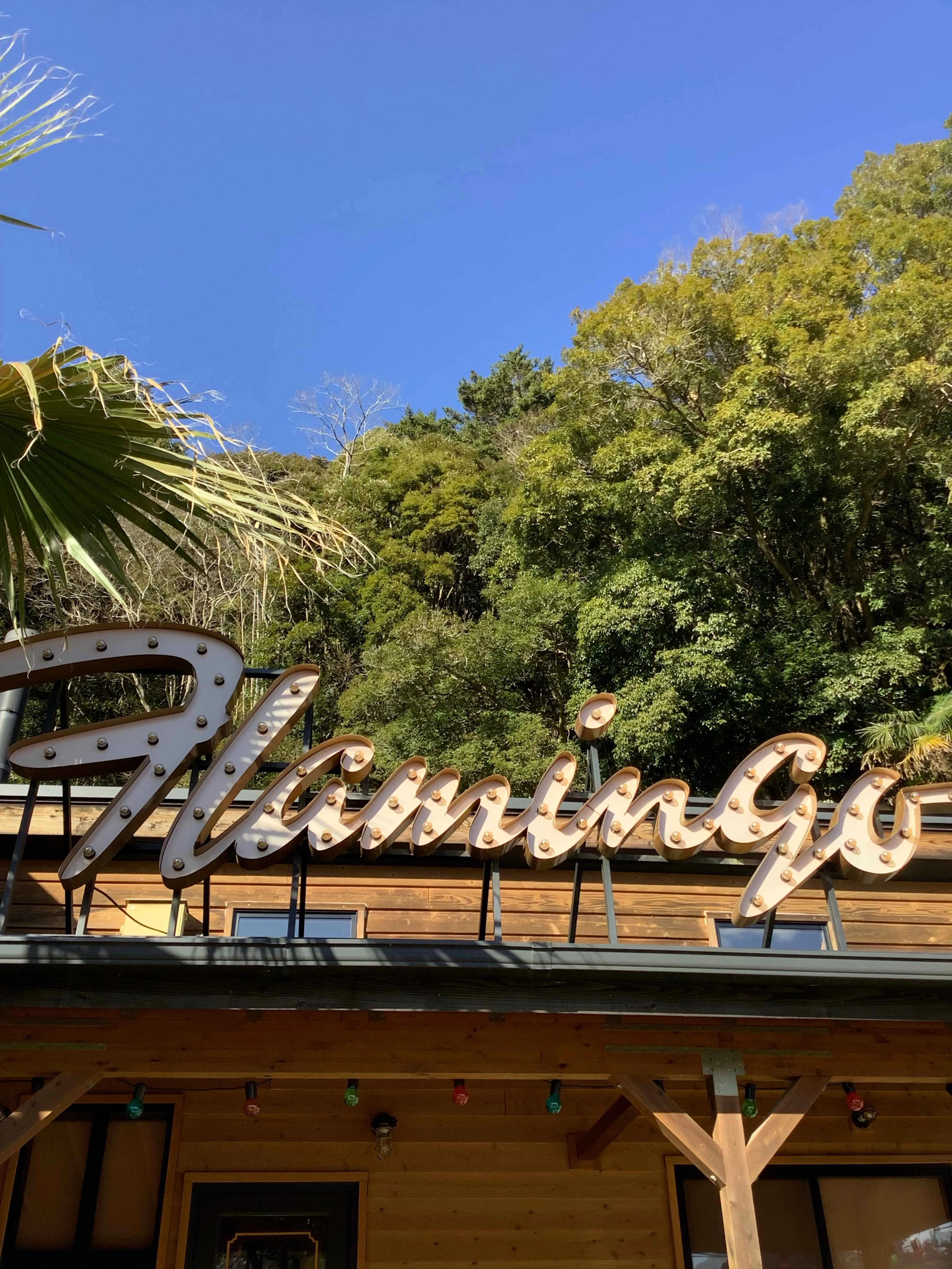 富津市岩本中古戸建周辺のFlamingo看板と豊かな自然環境