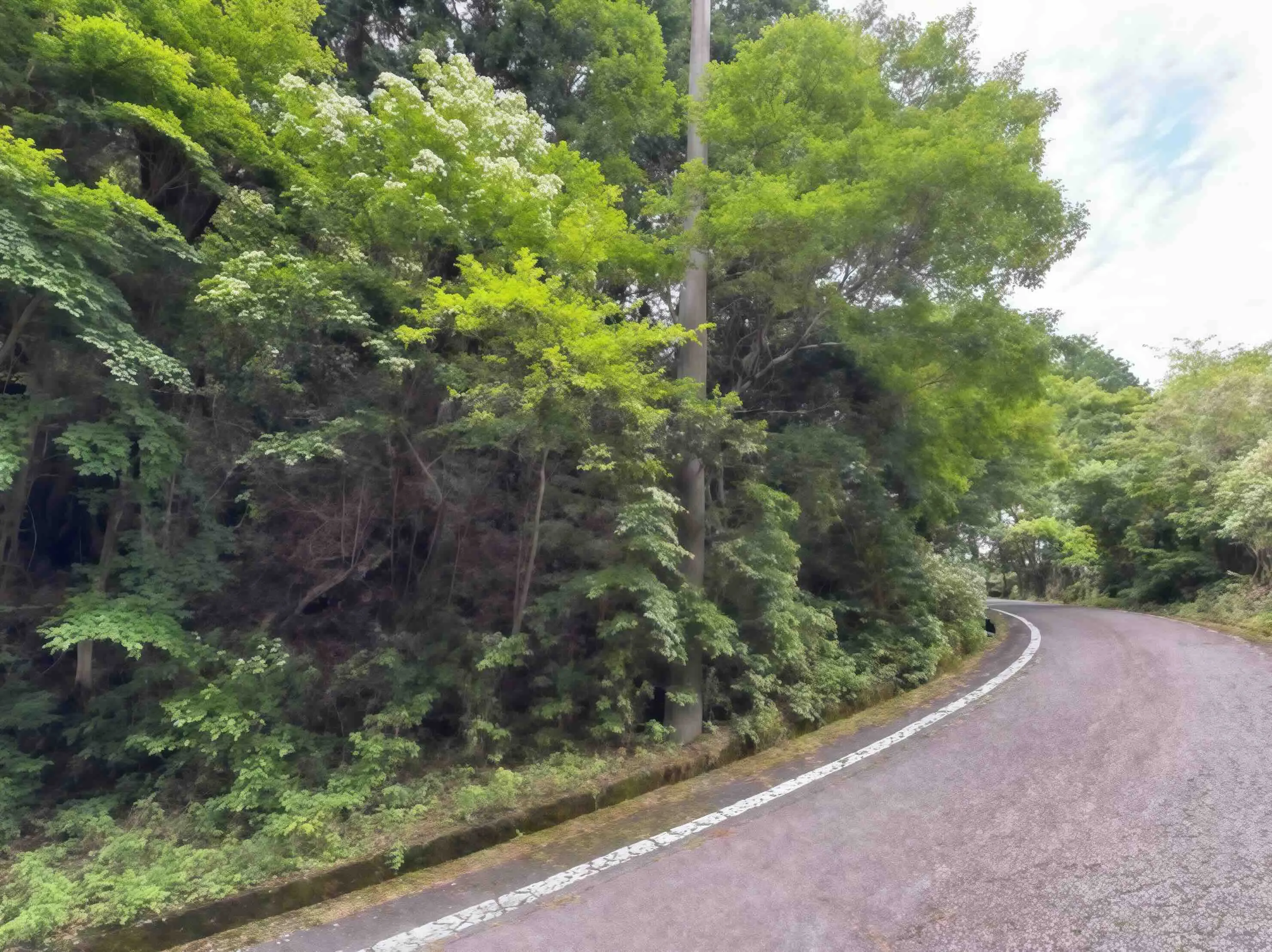 東急天城高原別荘・保養所の周辺道路