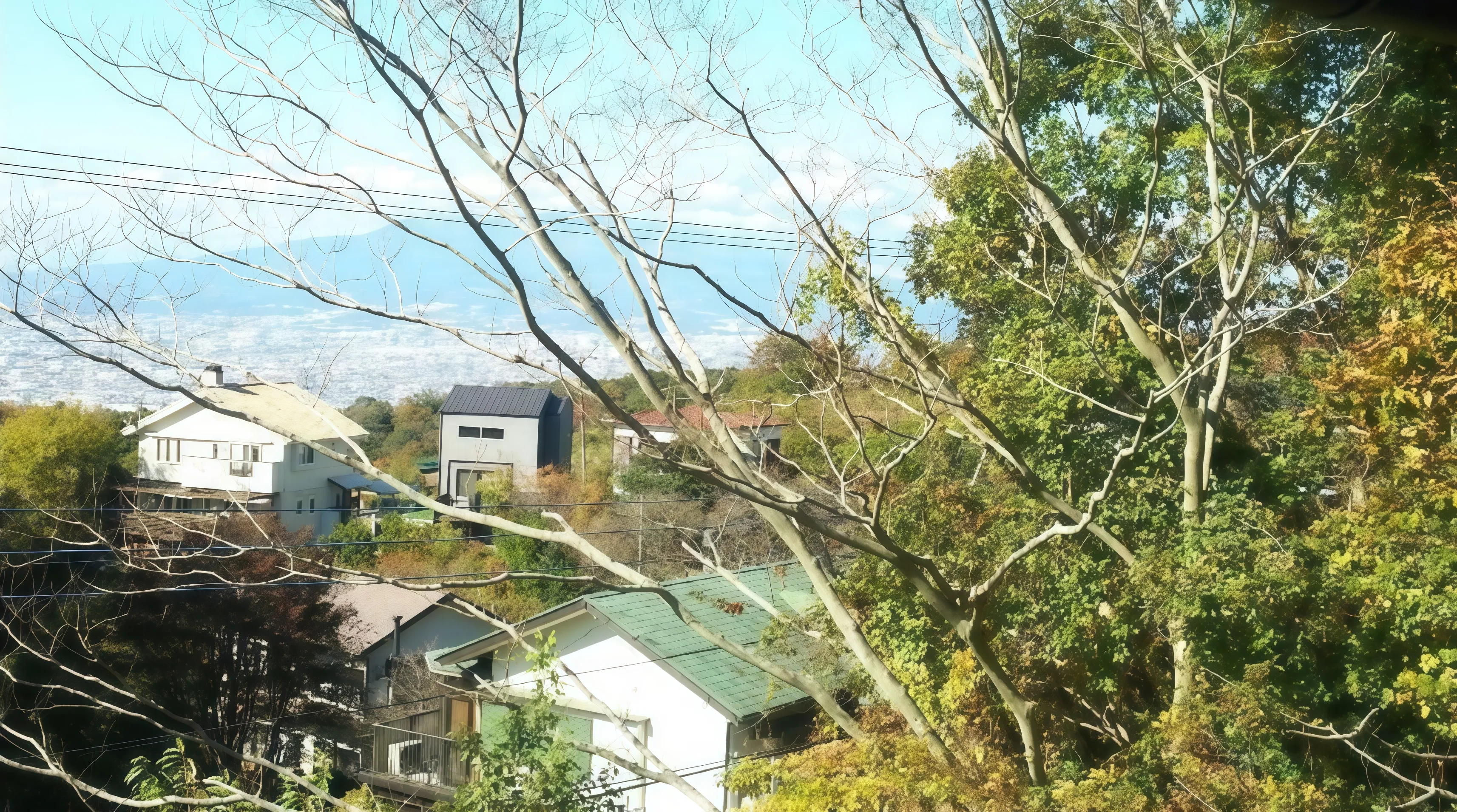伊豆の国市韮山中古戸建の周辺の景色