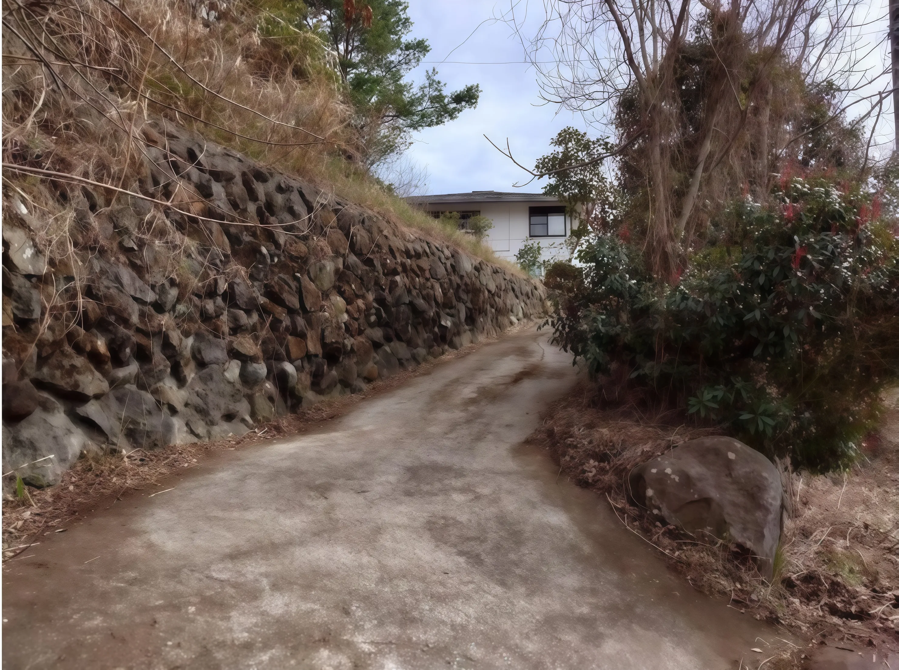 伊豆の国市韮山中古戸建周辺の石垣道
