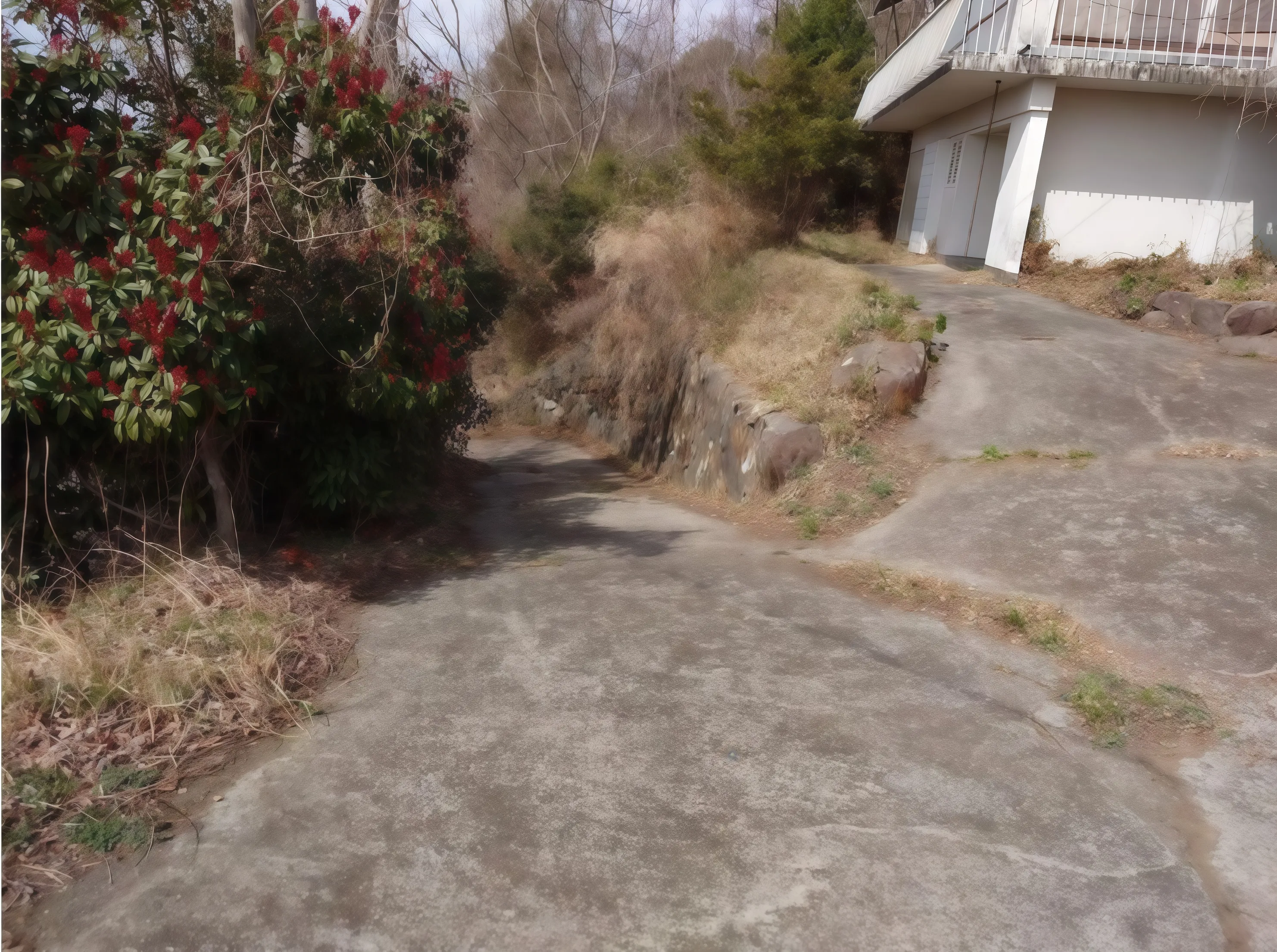 伊豆の国市韮山中古戸建の敷地内道路