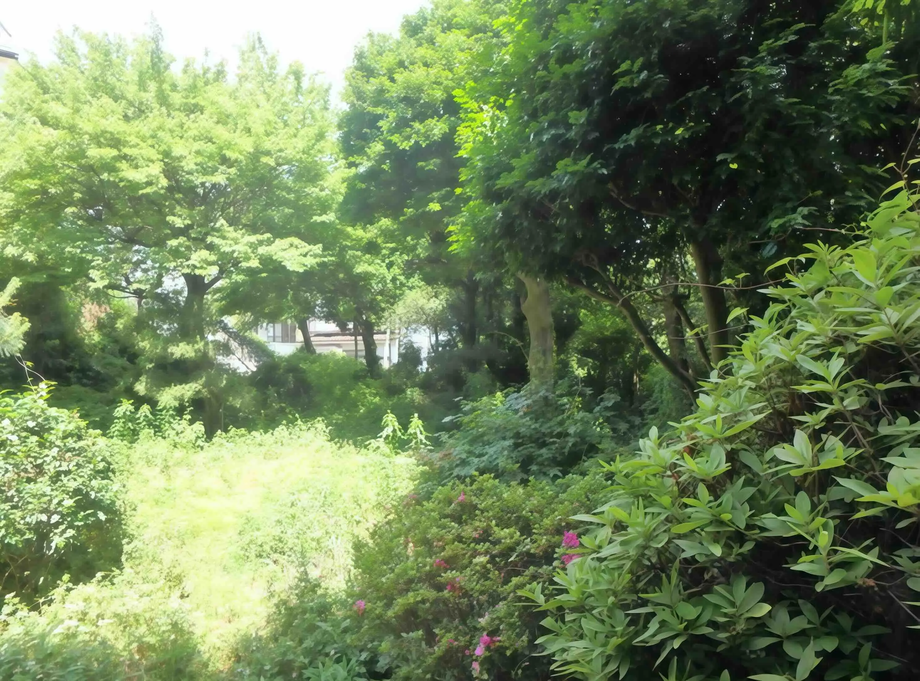 横須賀市三春町売地