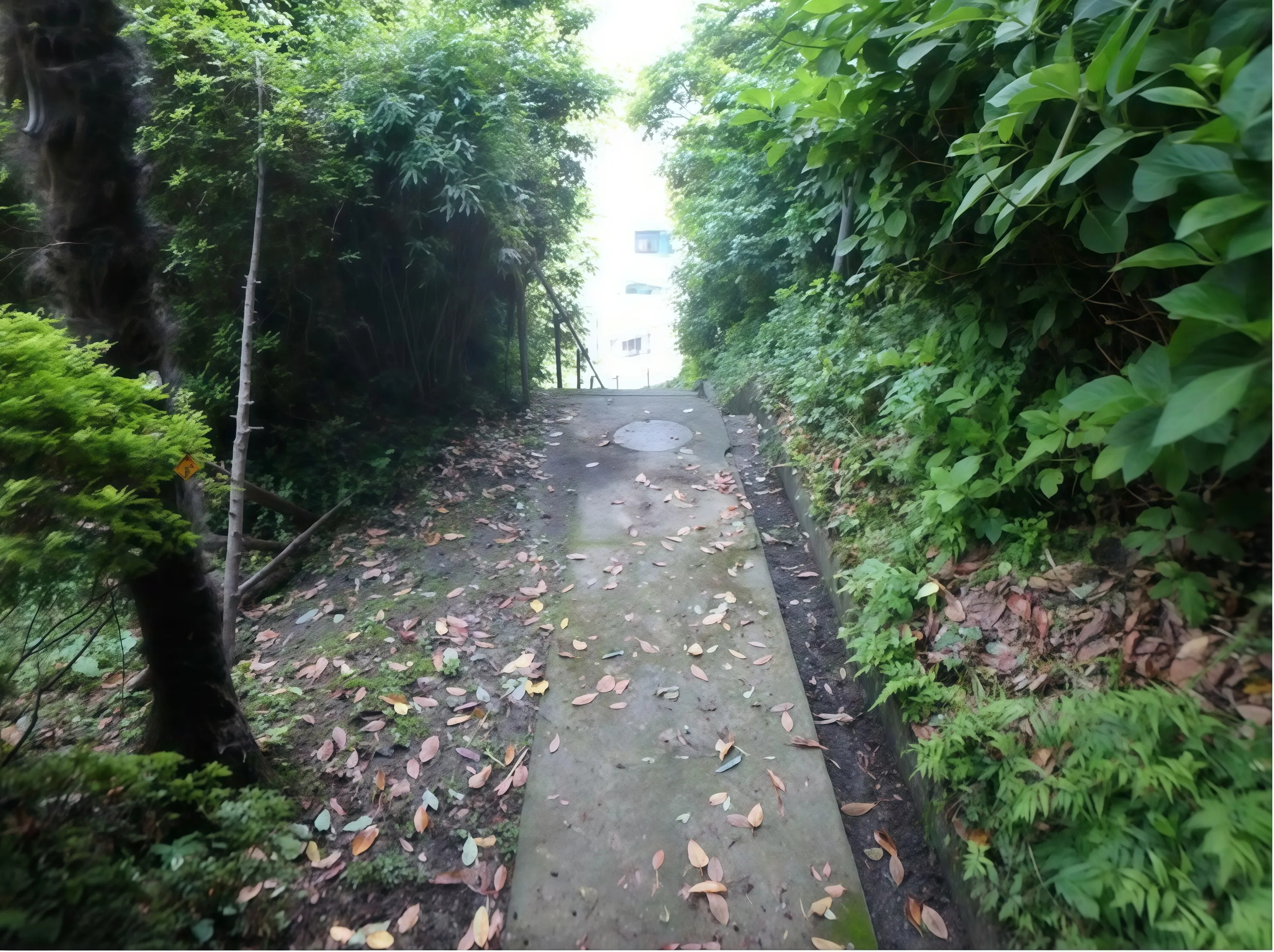 横須賀市三春町売地周辺の通路