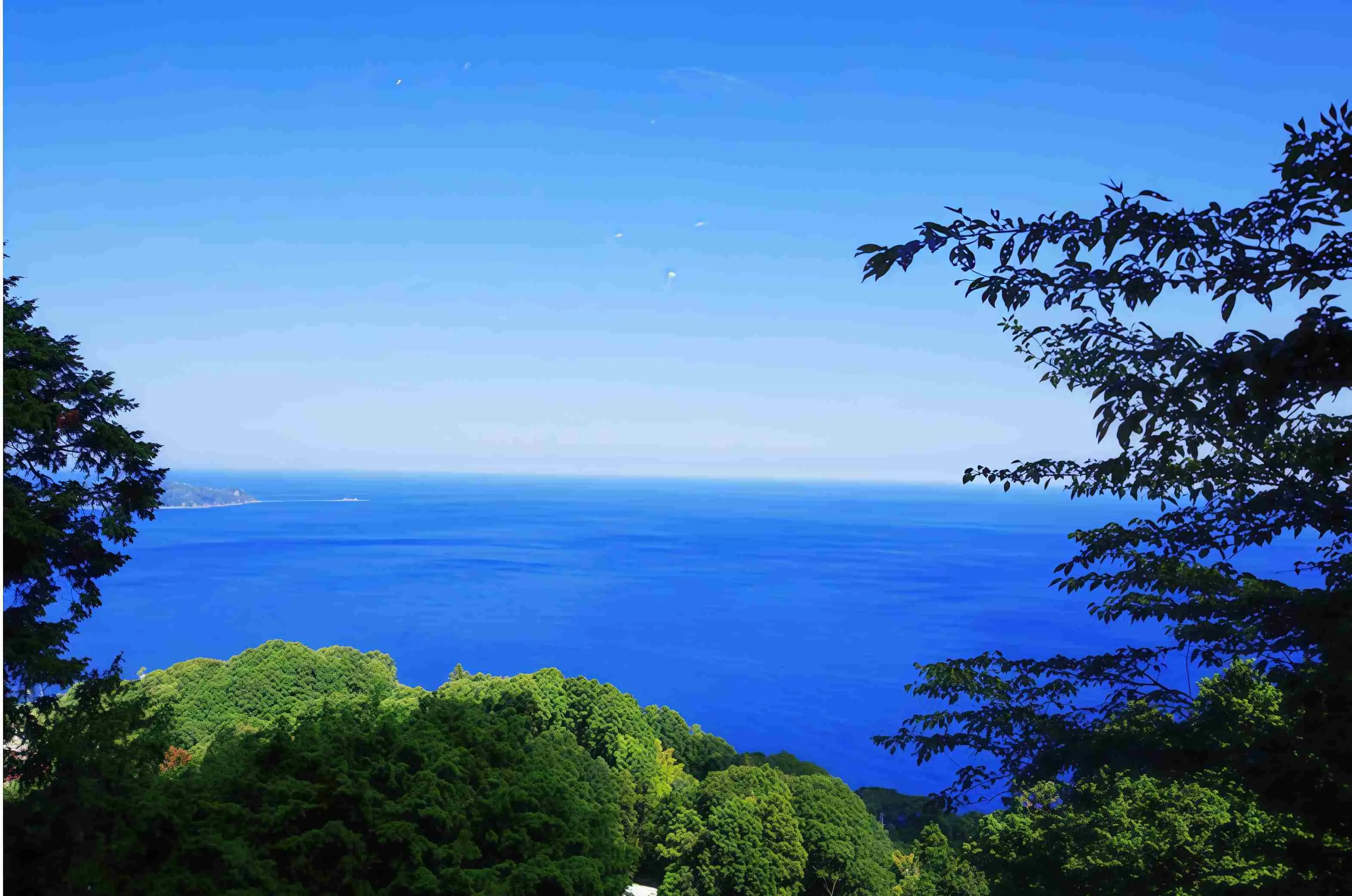 熱海市泉中古戸建周辺の海景色