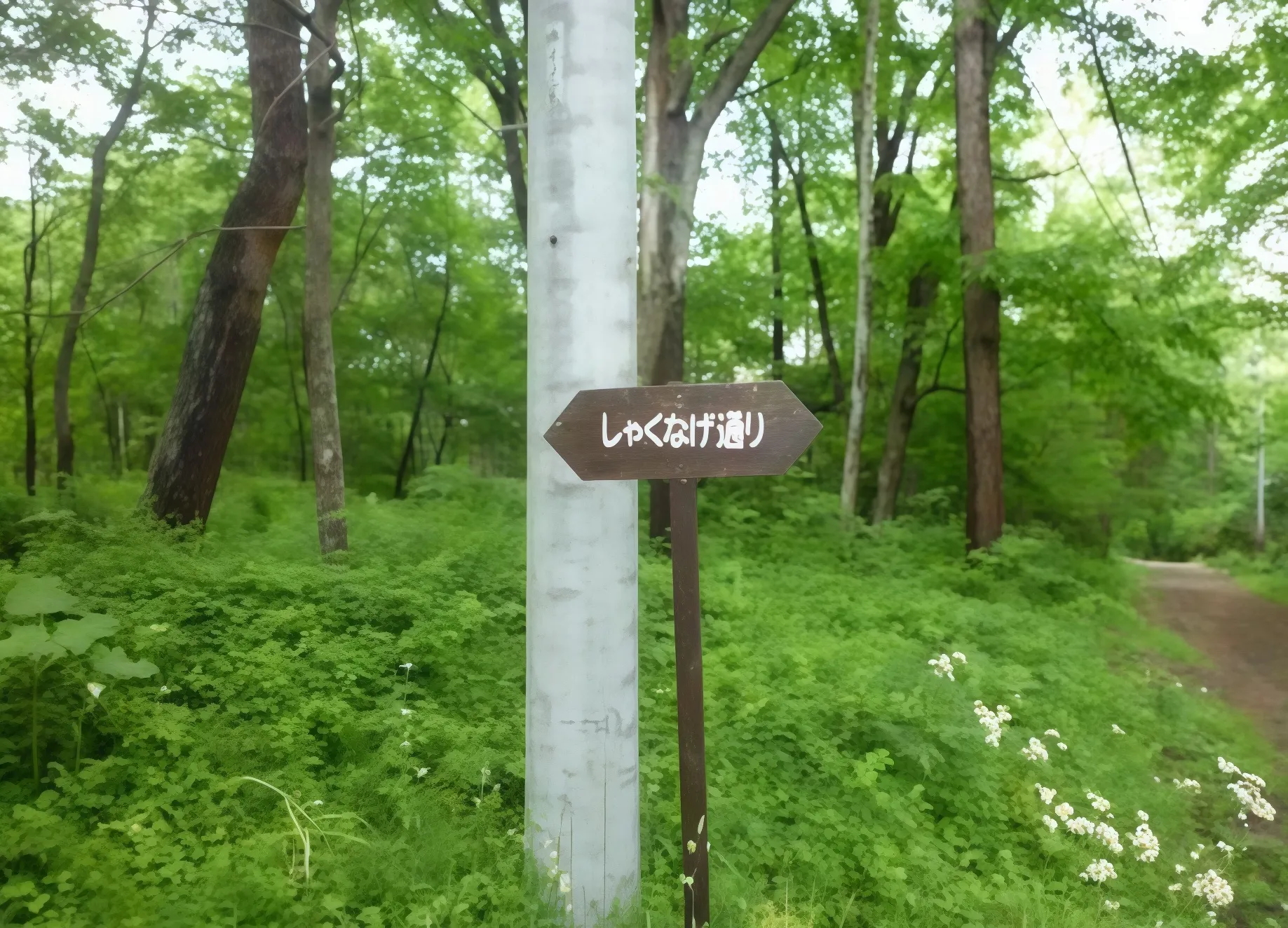 しゃくなげ通りの道路標識