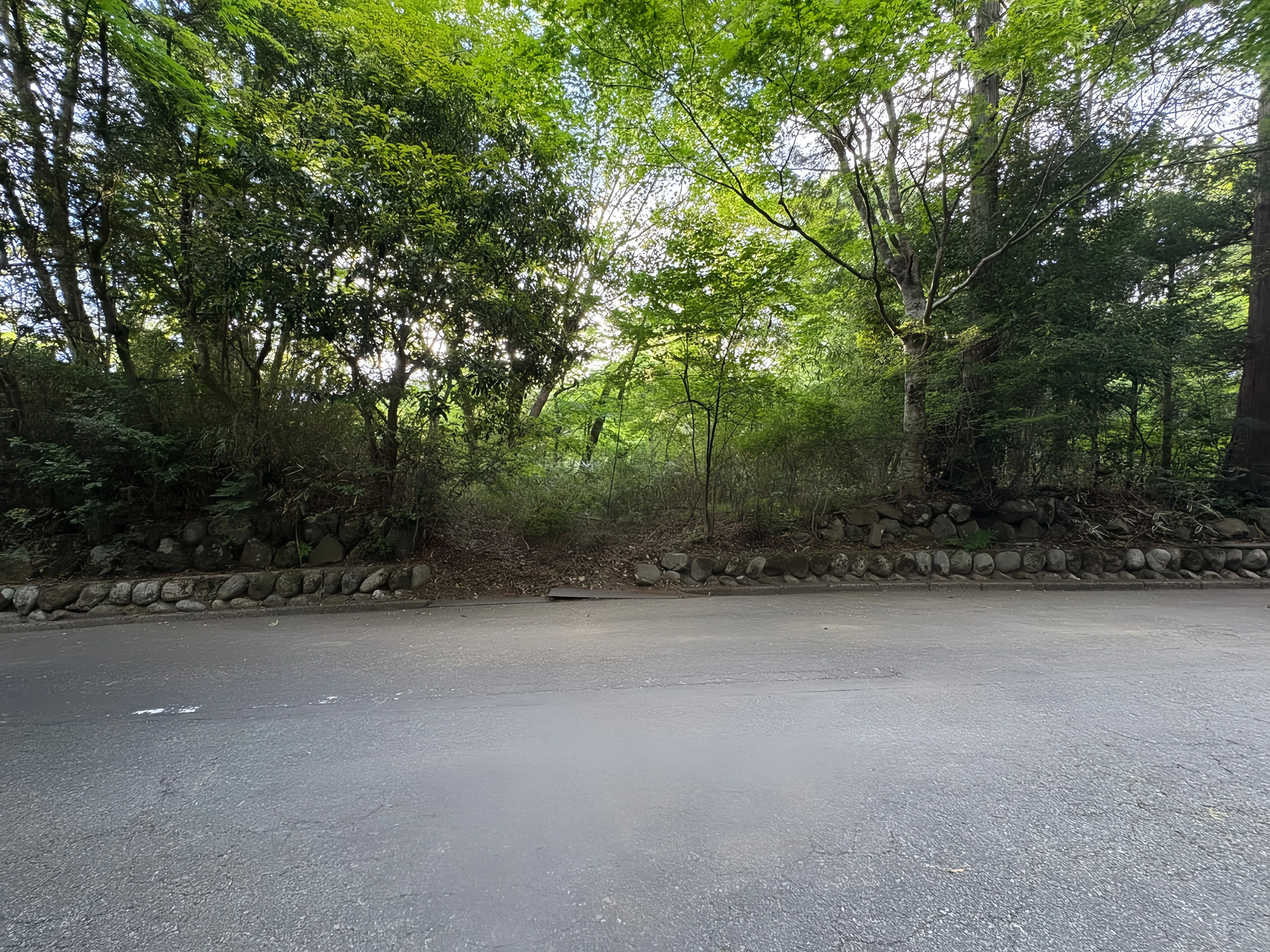 箱根町宮城野売地