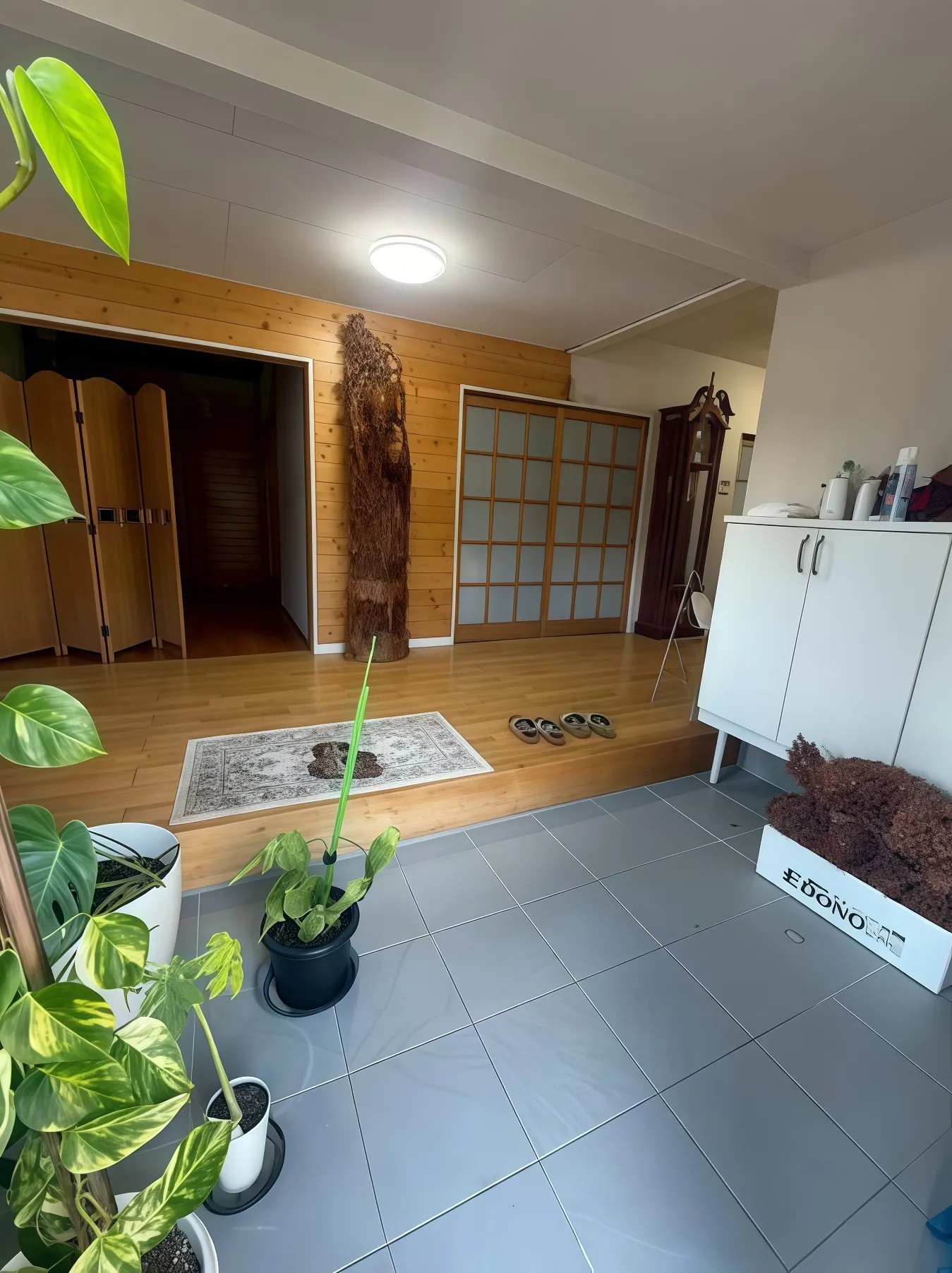 白子町大型平屋中古戸建の玄関