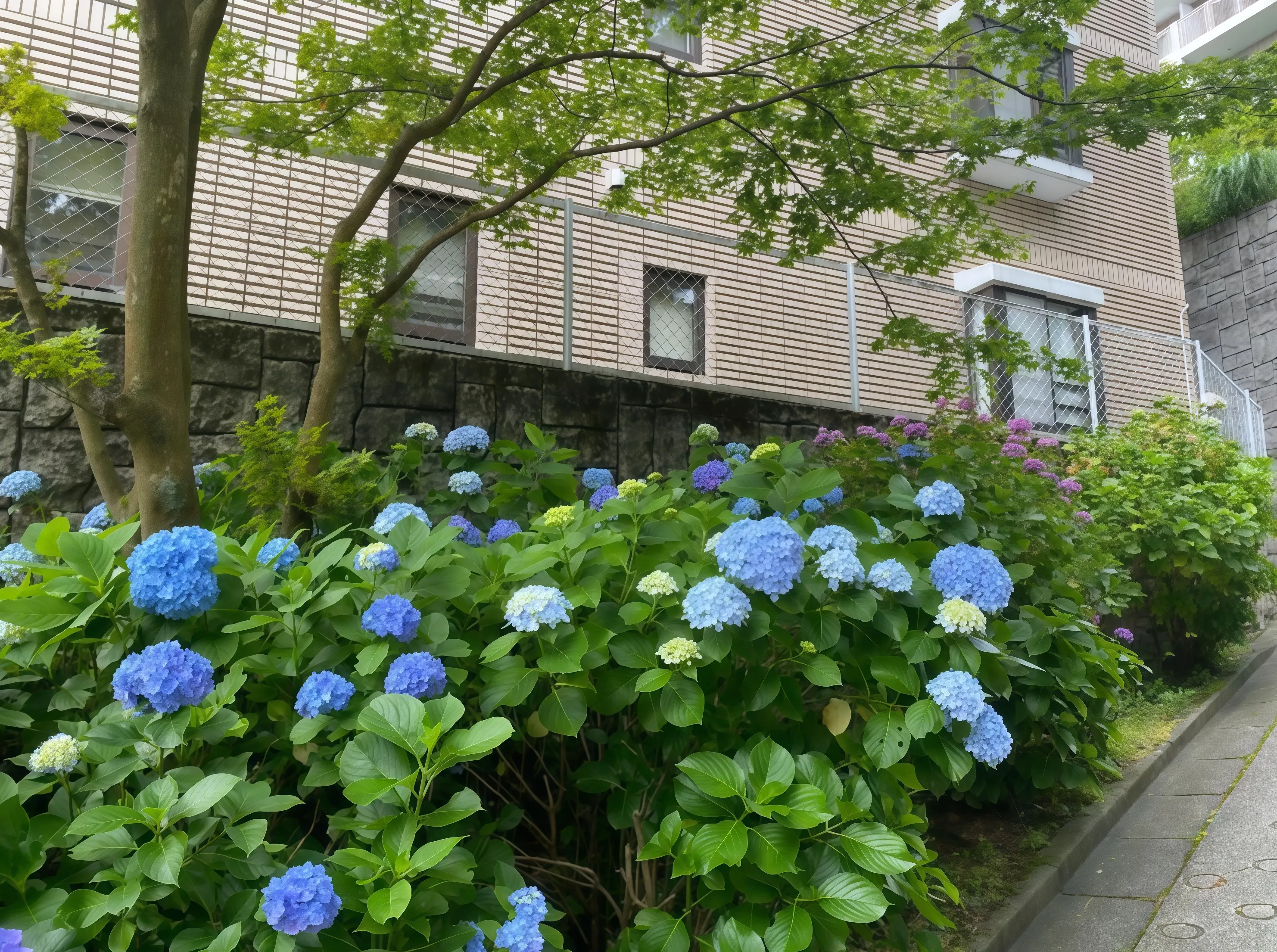 箱根強羅運営中旅館の周辺の様子①