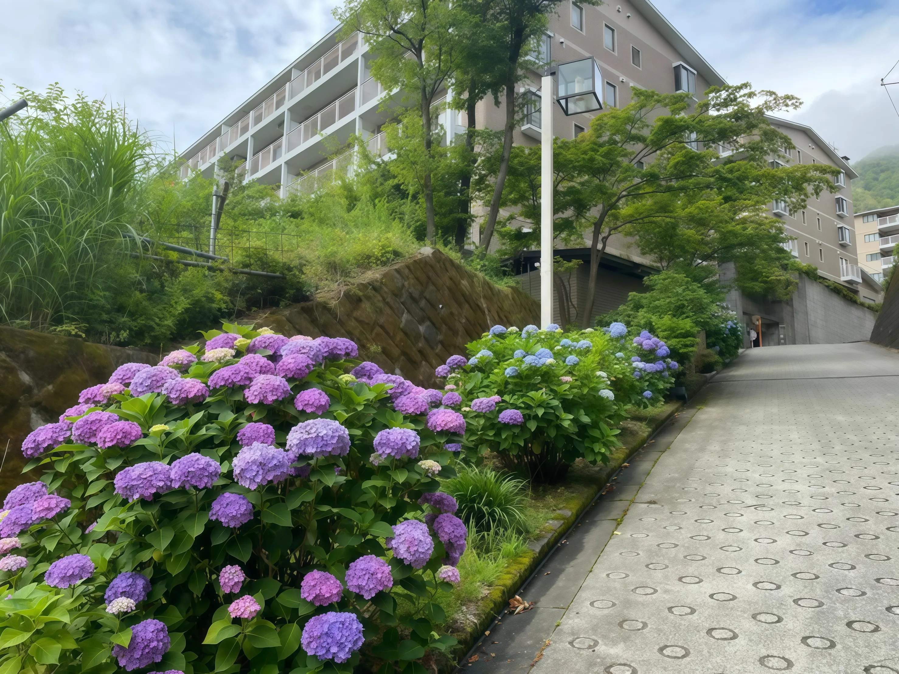 箱根強羅運営中旅館の周辺の様子②