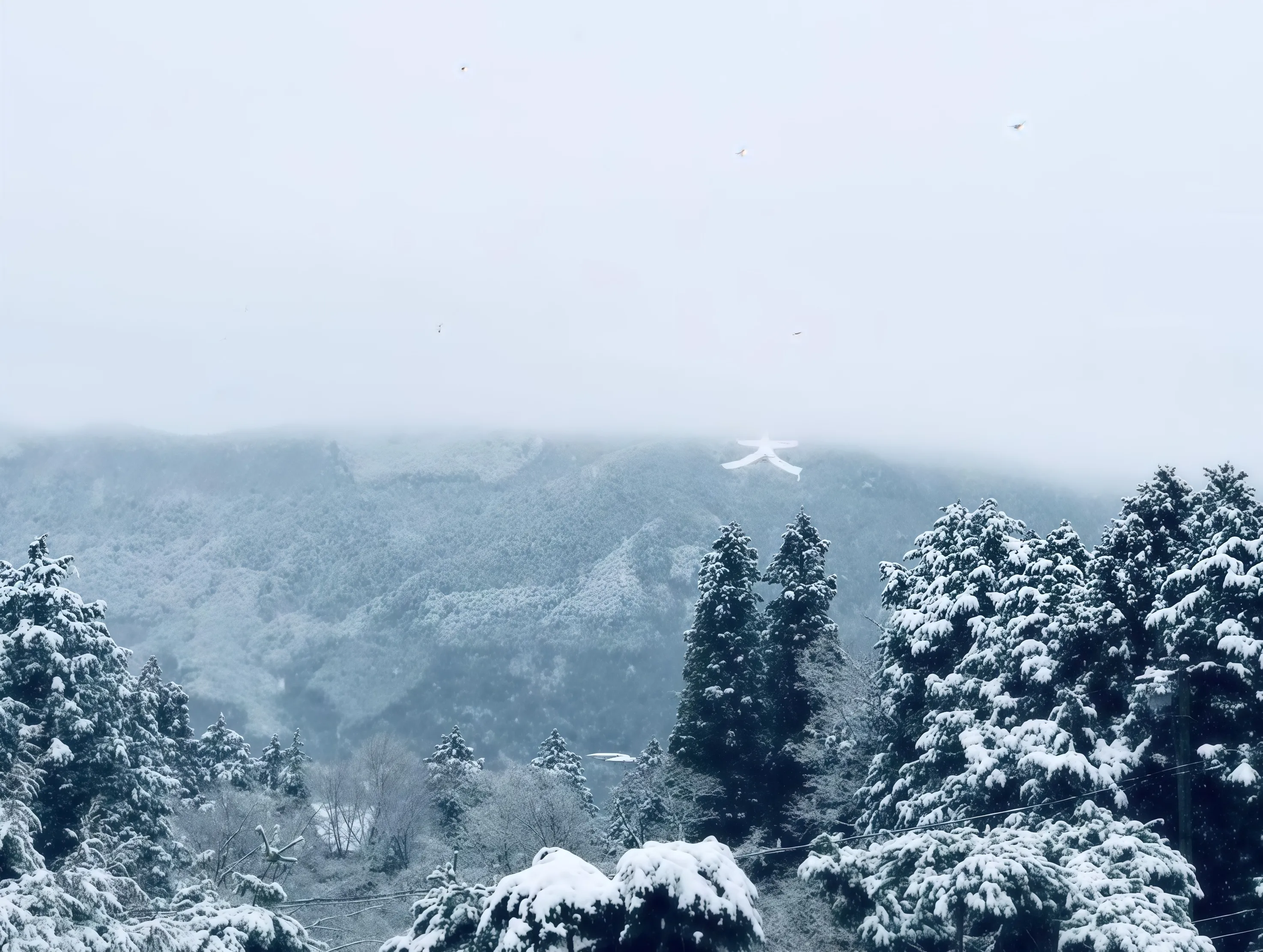 箱根強羅運営中旅館の周辺環境(雪景色)
