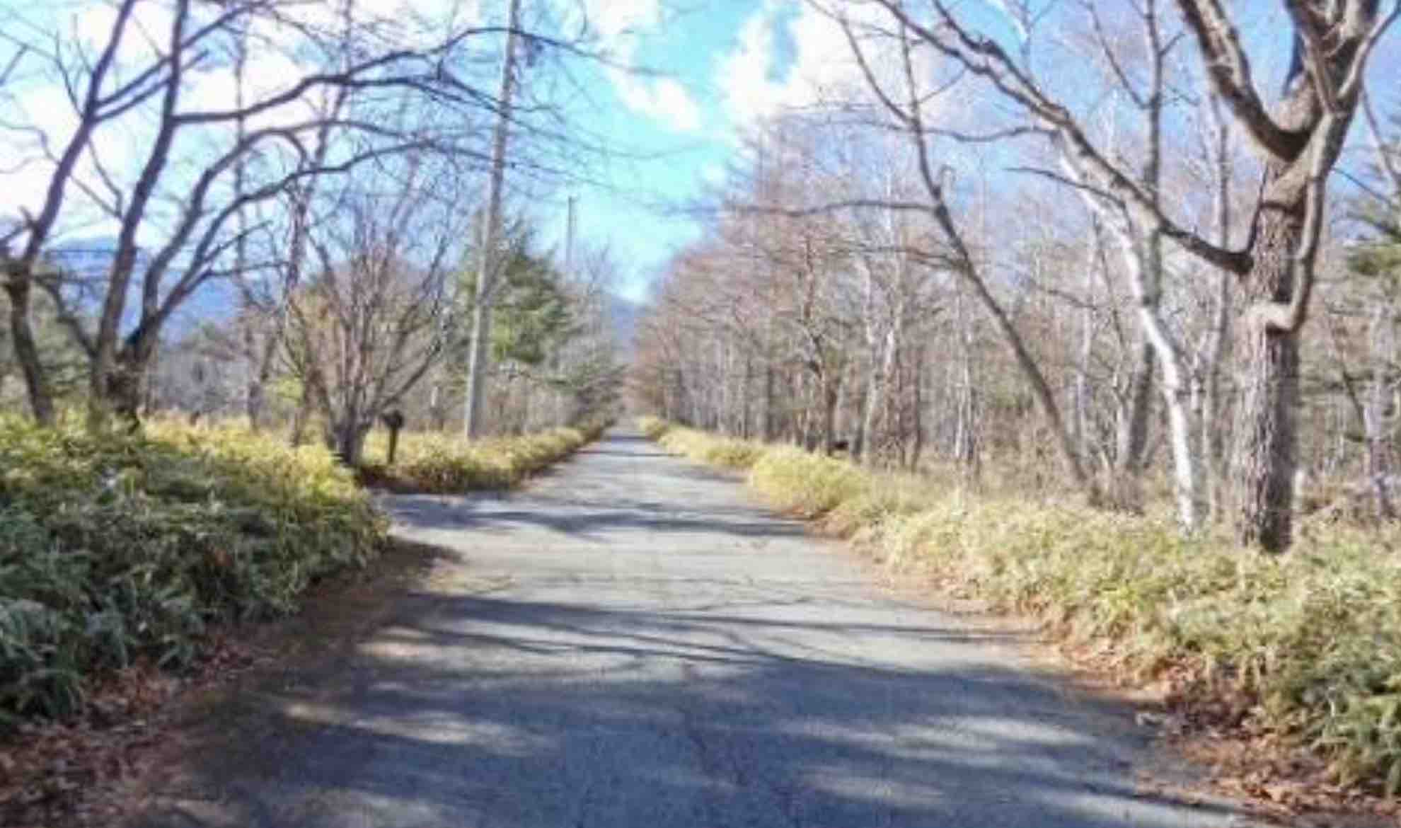 八ヶ岳高原の土地の外観2