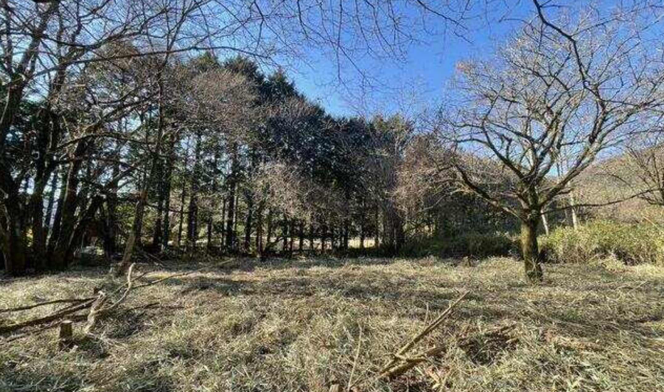 箱根町仙石原の土地の外観2