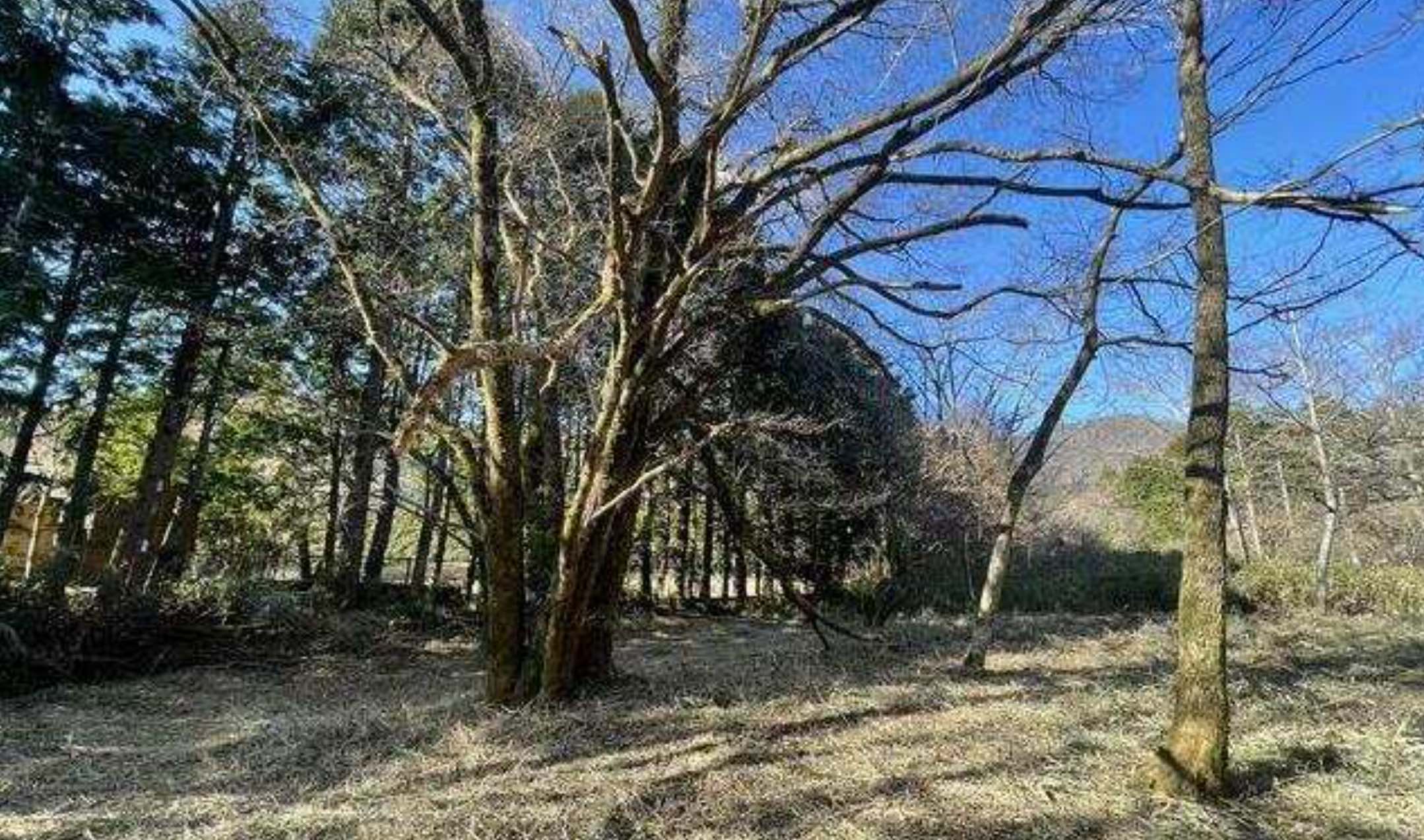 箱根町仙石原の土地の外観3