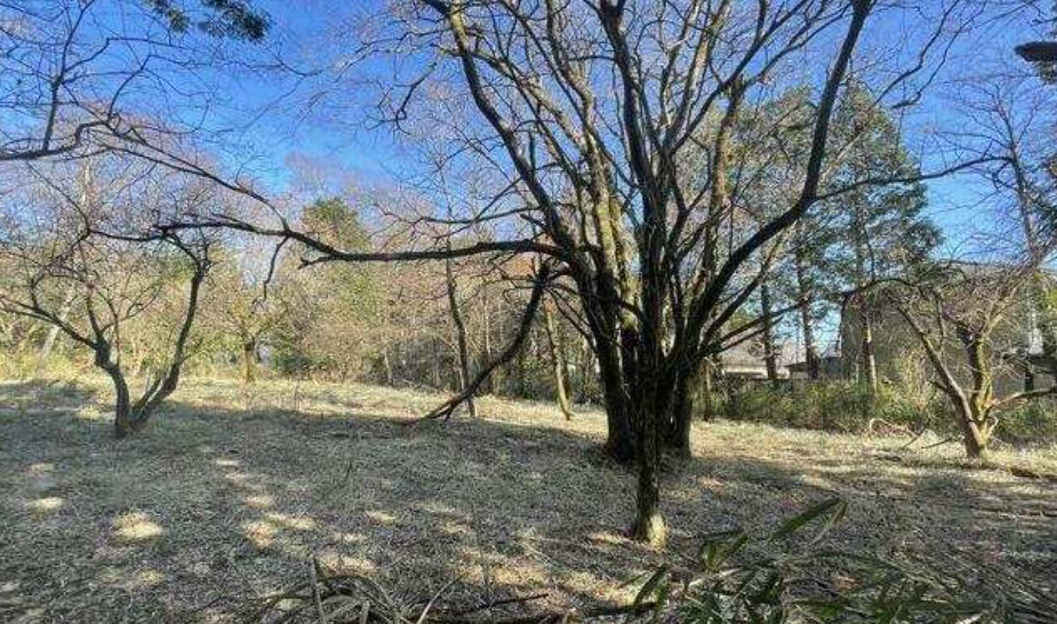 箱根町仙石原の土地の外観4