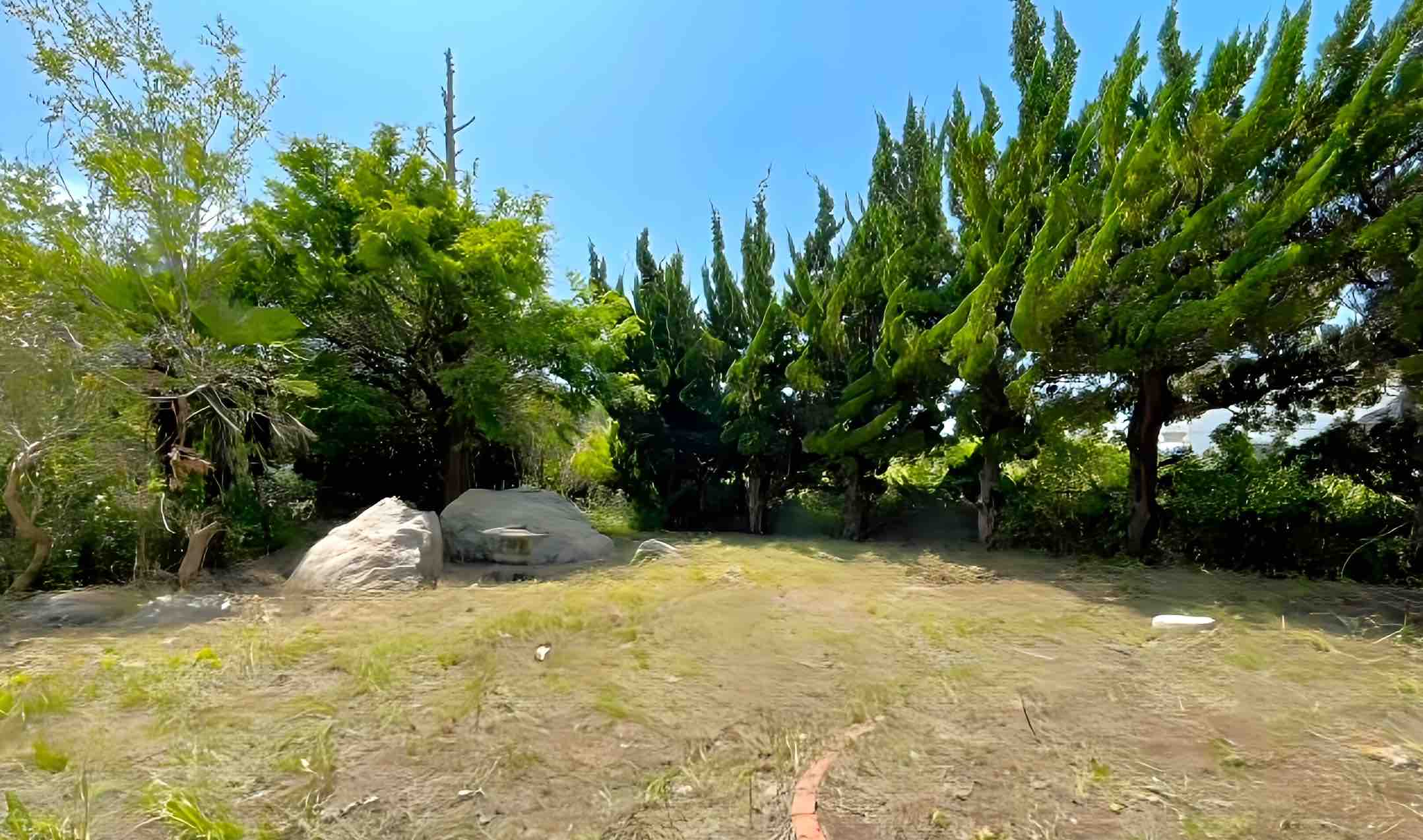 千葉県山武市本須賀の物件の庭