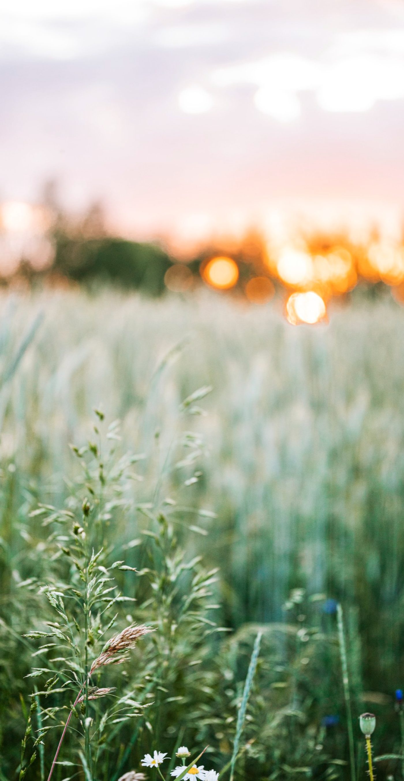 Jeremiah 29:11 Meaning: The Verse Everyone Misquotes