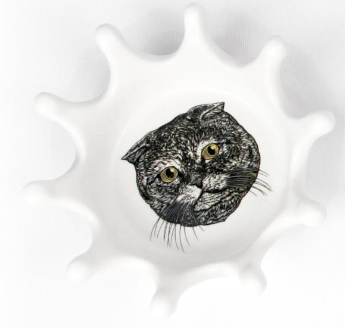 밀크 스플래시 소스볼 #1 Scottish fold