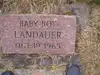 Baby Boy Landauer