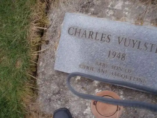 Charles Allen Vuylstek