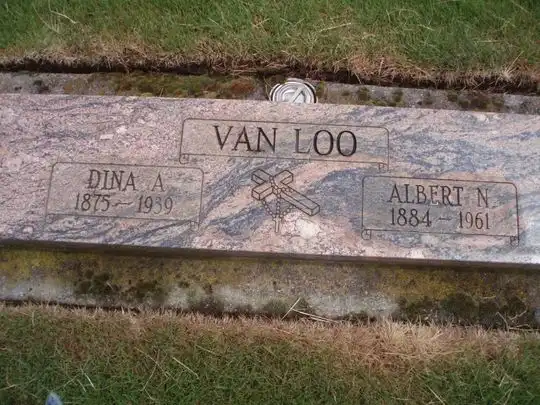 Albert N Vanloo