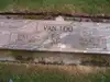 Albert N Vanloo