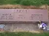 Joseph Henry Seus
