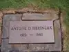 Antone D Herinckx
