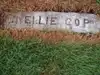 Petronella Cop