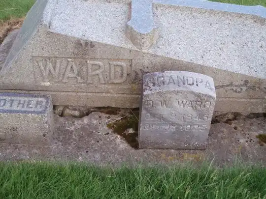 D W Ward