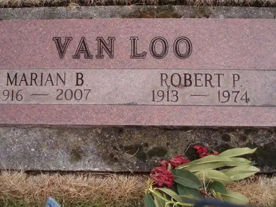Robert P Vanloo